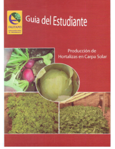 Horticultura en Carpa Solar